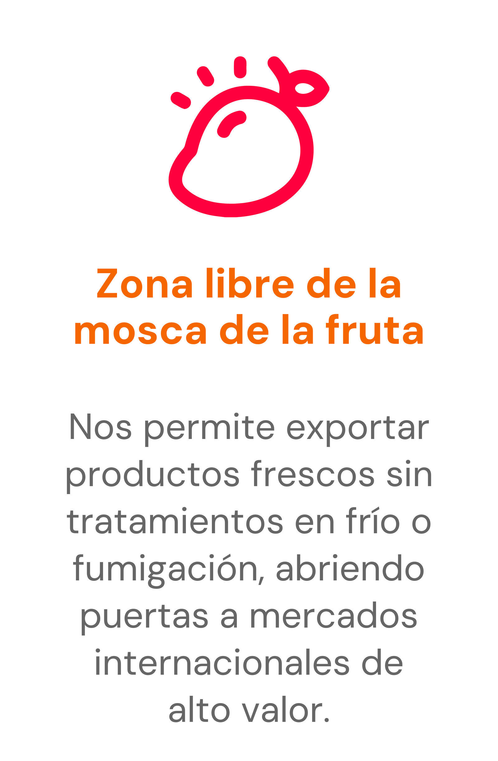 Zona libre de la mosca de la fruta: Nos permite exportar productos frescos sin tratamientos en frío o fumigación, abriendo puertas a mercados internacionales de alto valor.